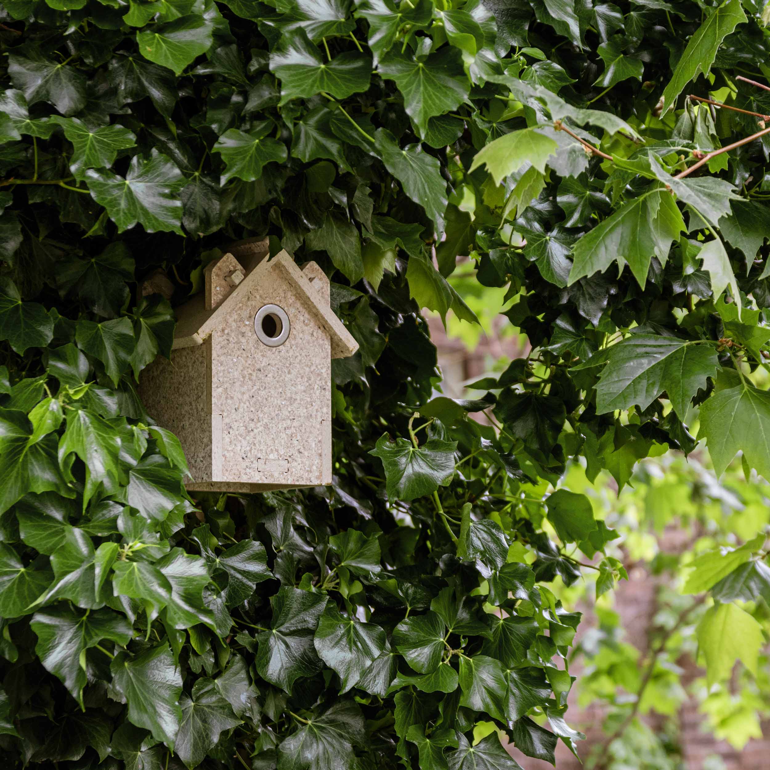 habisabi — little bird house