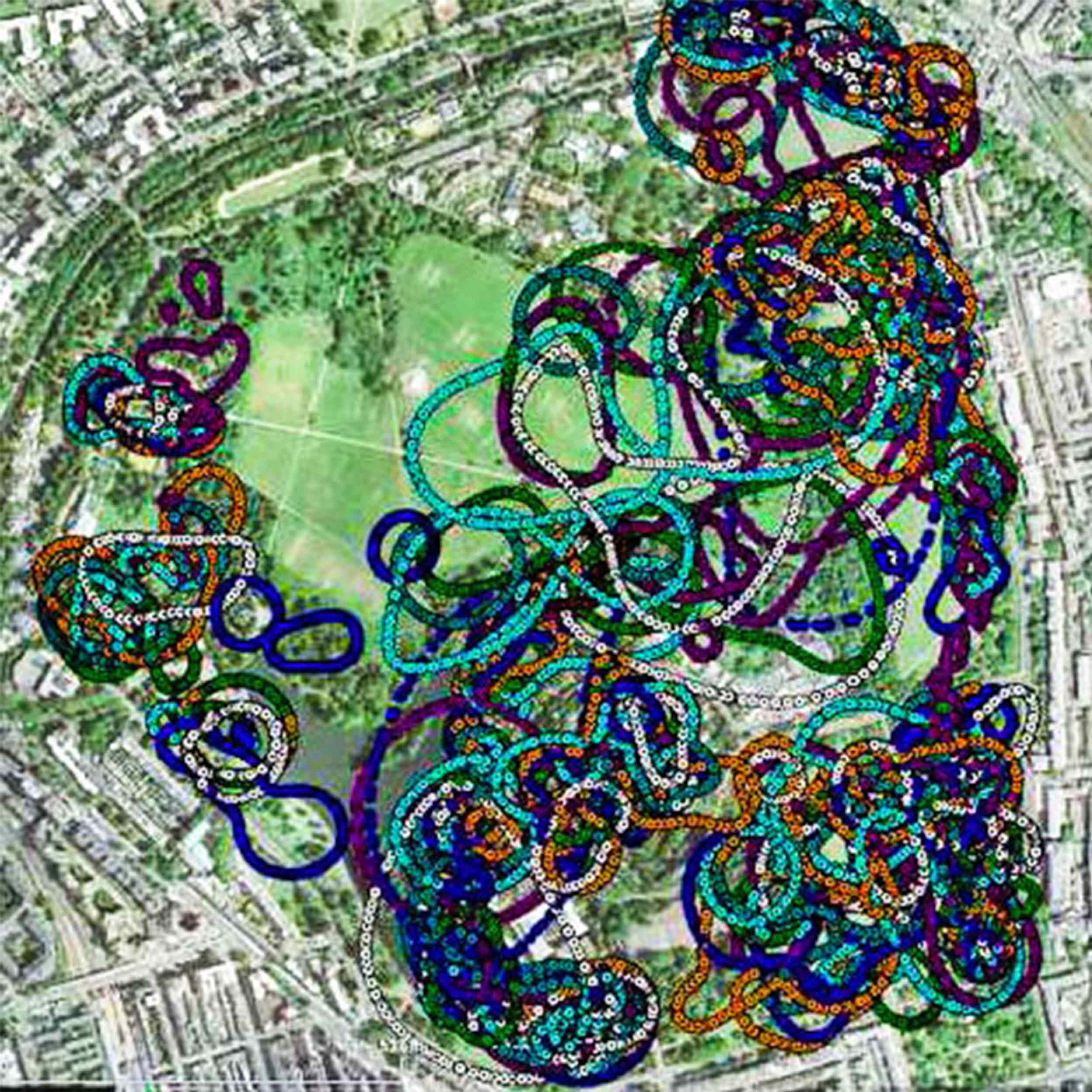 habi-sabi — hedgehog gates and houses