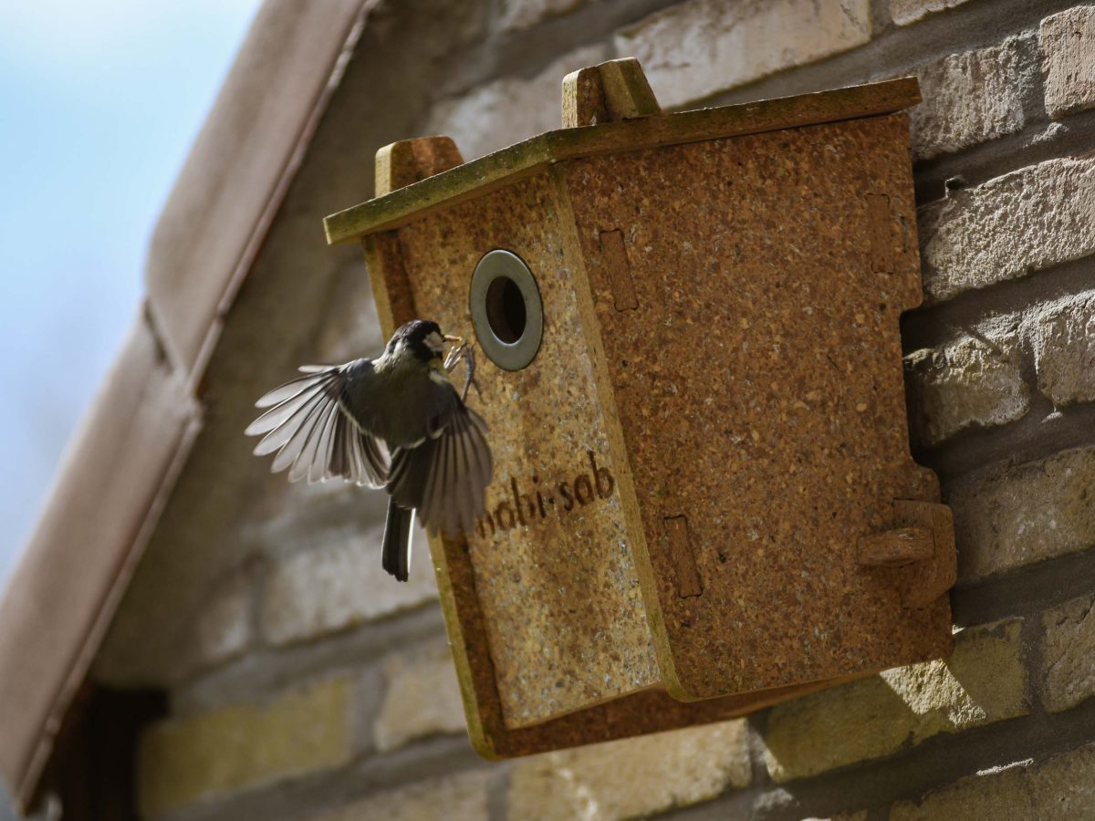Capi Bird Box habi-sabi